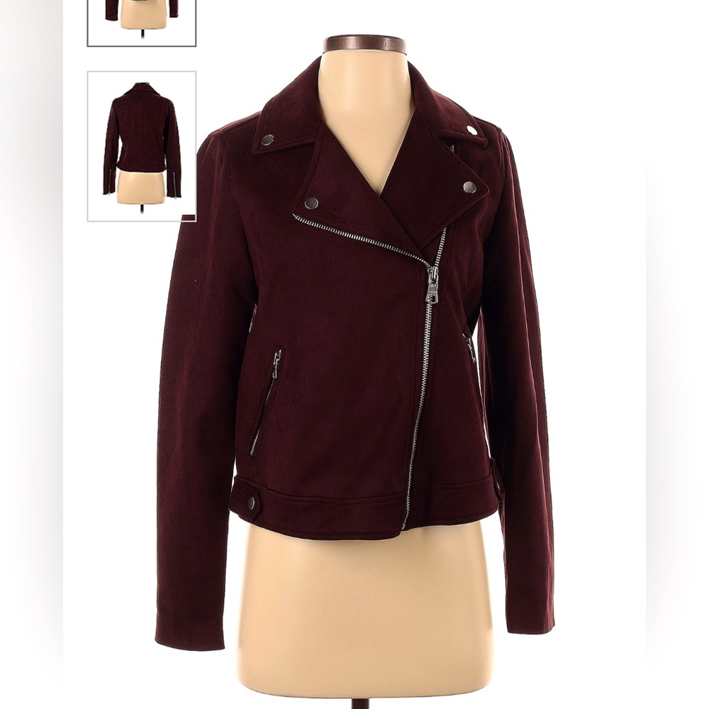 LOFT Moto Jacket-Great condition!